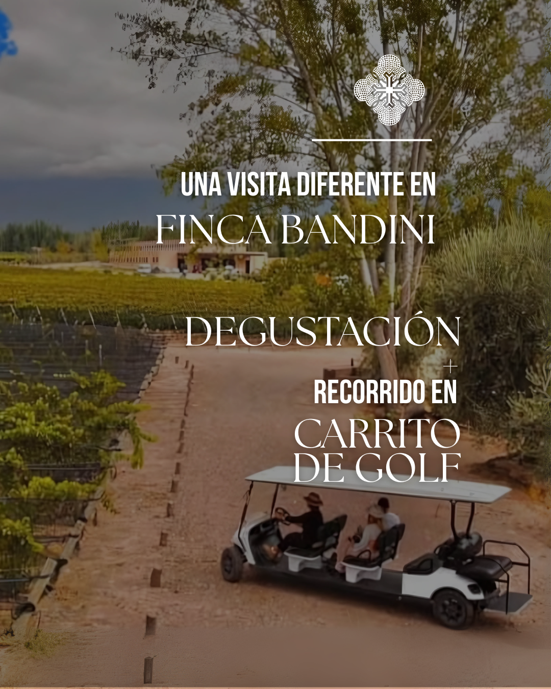 Tour en carrito de golf por viñedos Finca Bandini Luján de Cuyo