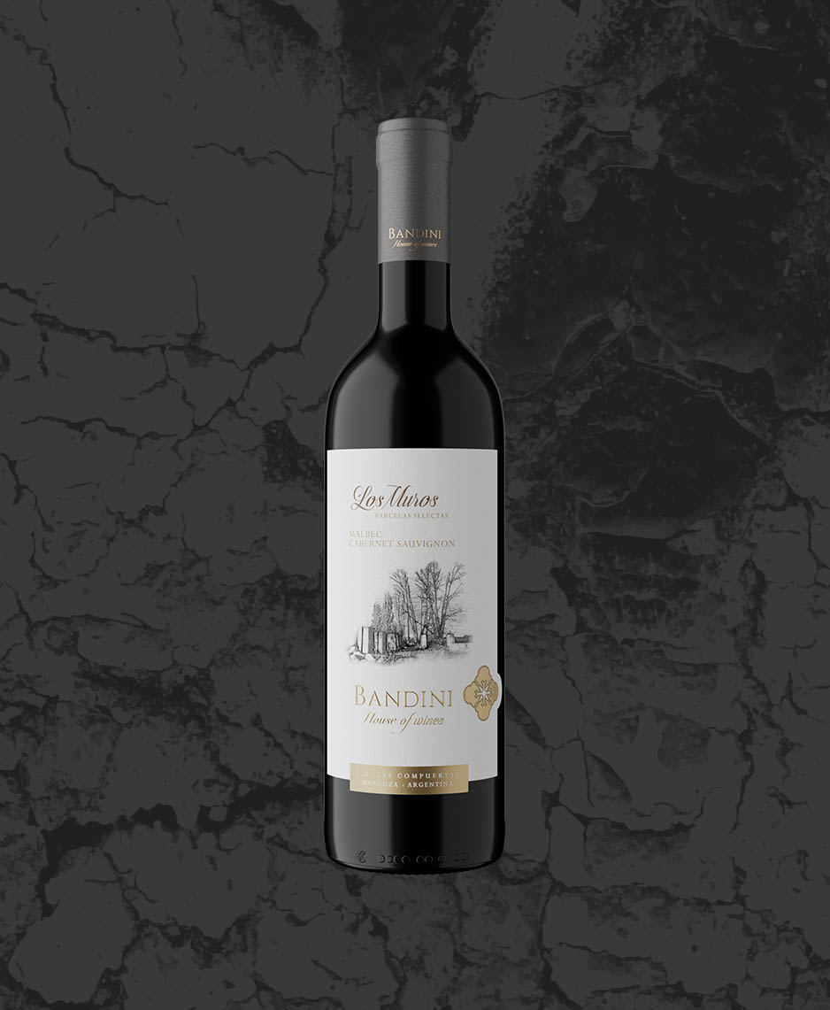 BANDINI_LOS MUROS TINTO