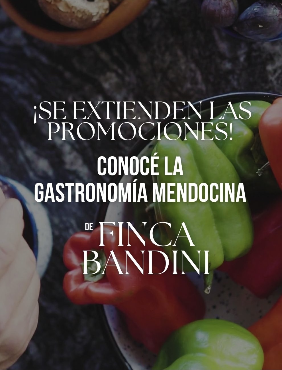 Cocina mendocina gourmet a las brasas Finca Bandini