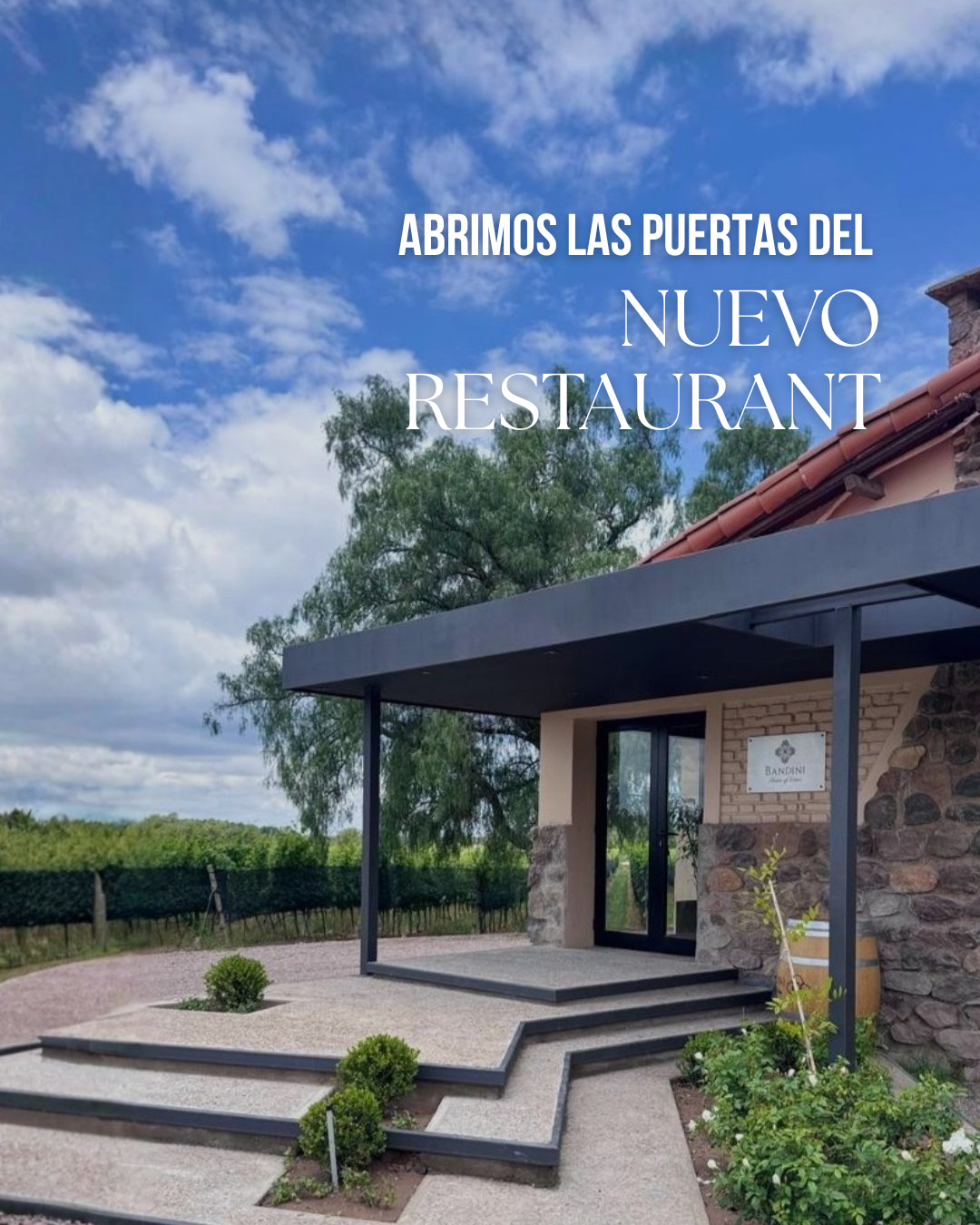Restaurante gourmet Finca Bandini entre viñedos Las Compuertas Mendoza