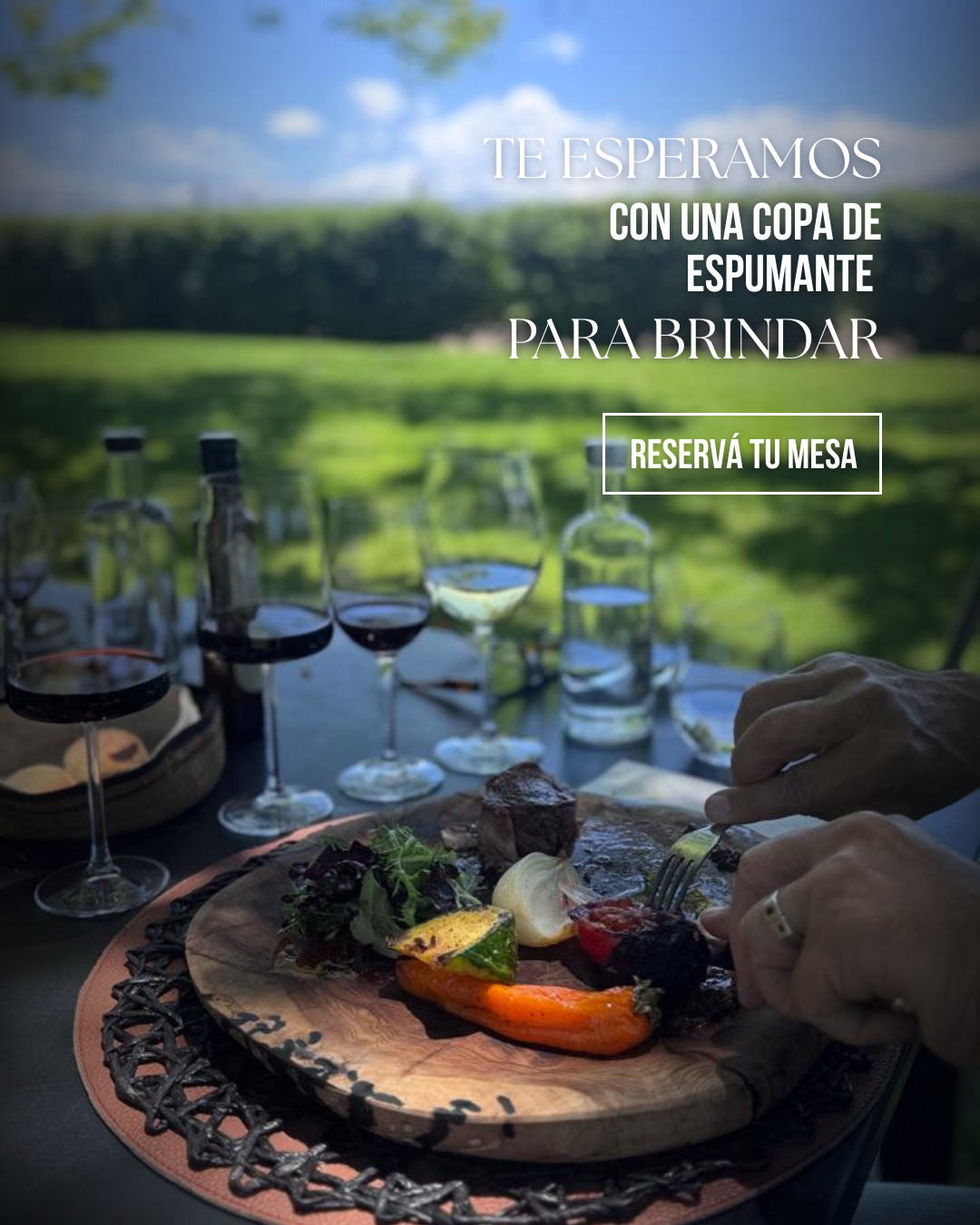 Copa de vino Finca Bandini con vista al Cordón del Plata