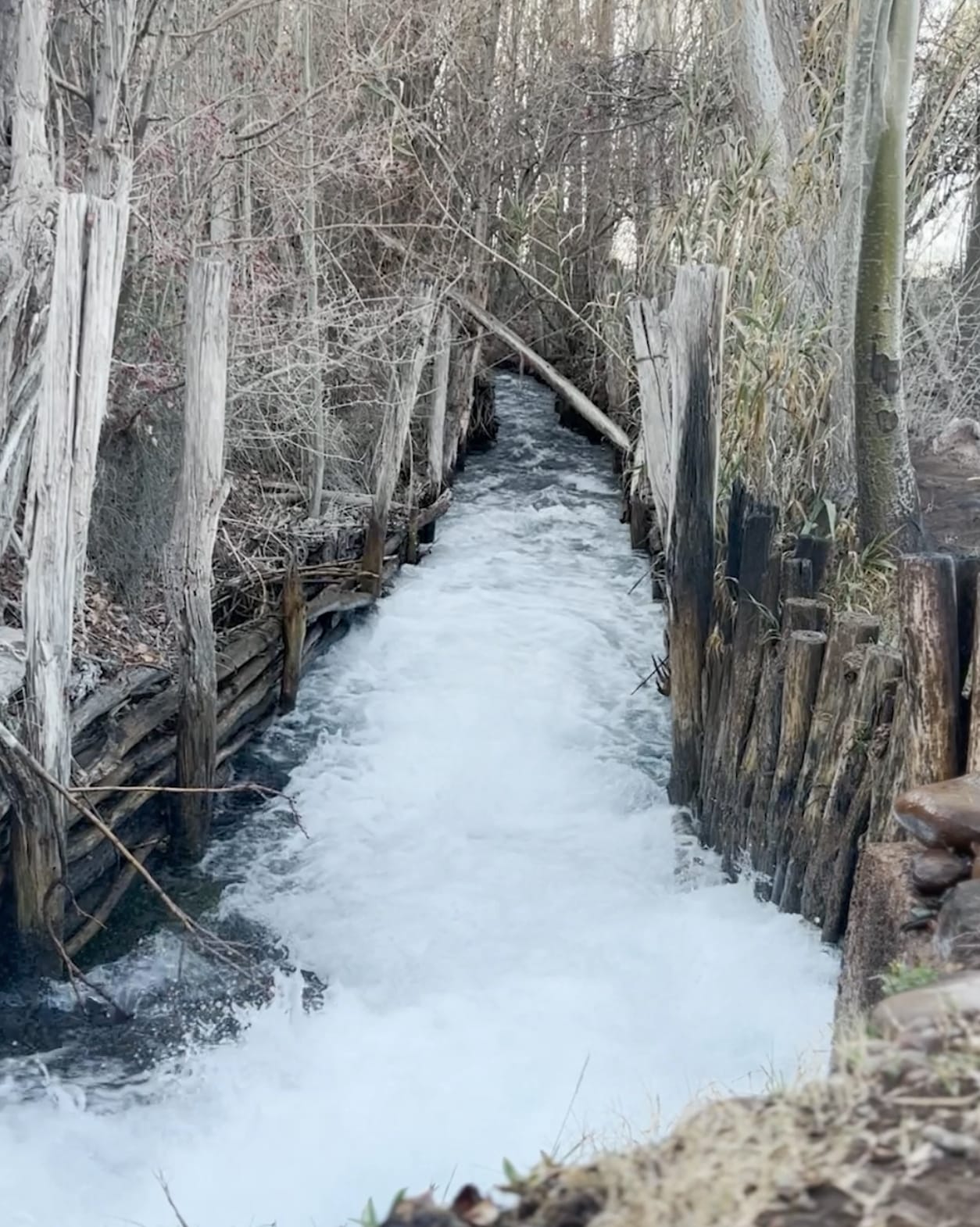finca-bandini-dos-cauces-Dos Cauces 2
