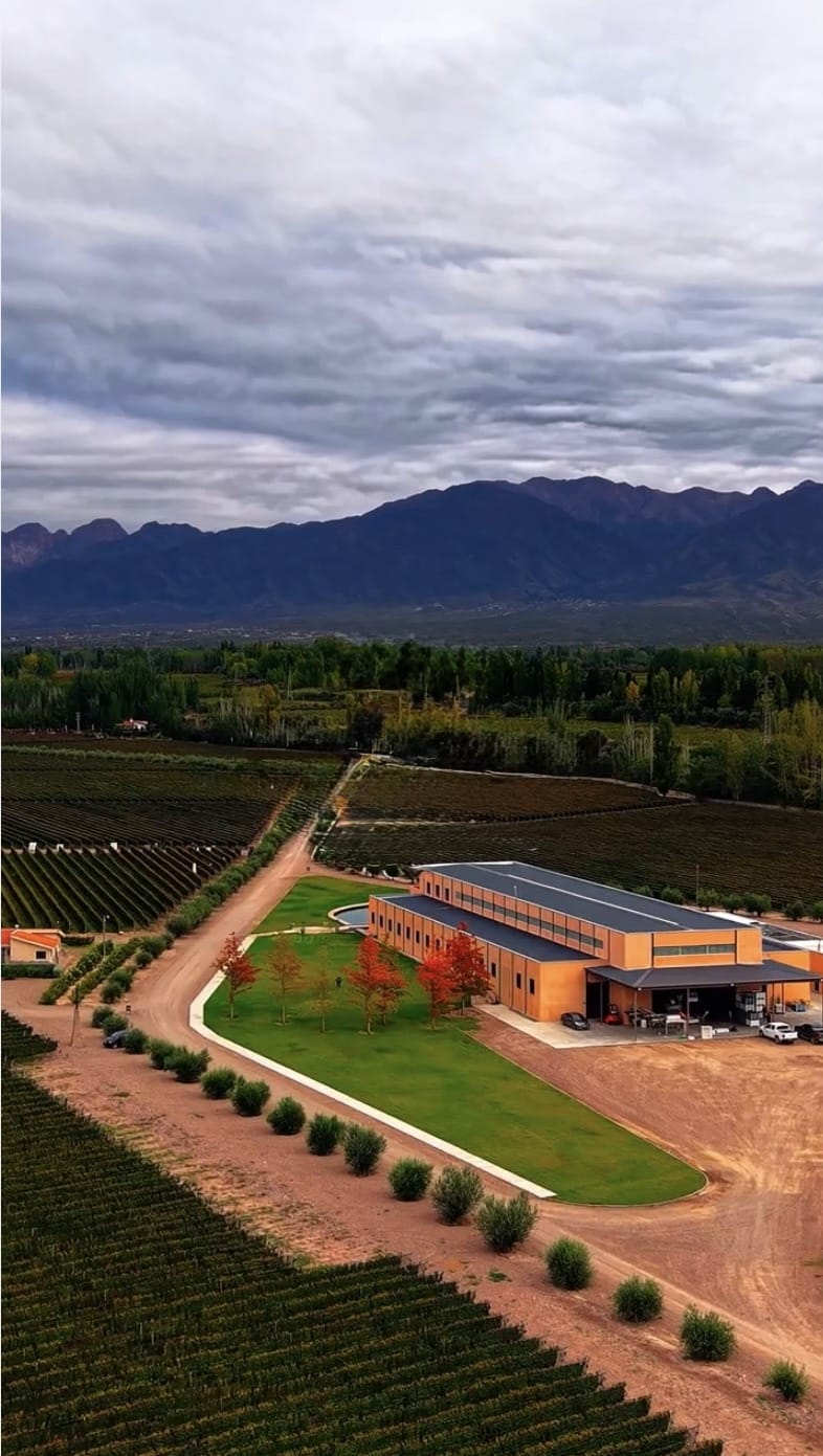 Atardecer Finca Bandini viñedos Las Compuertas