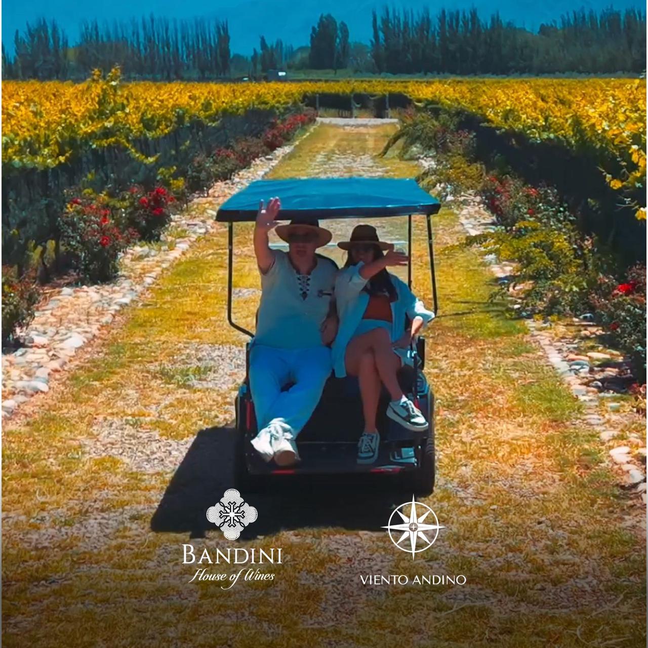 Tour viñedos Finca Bandini